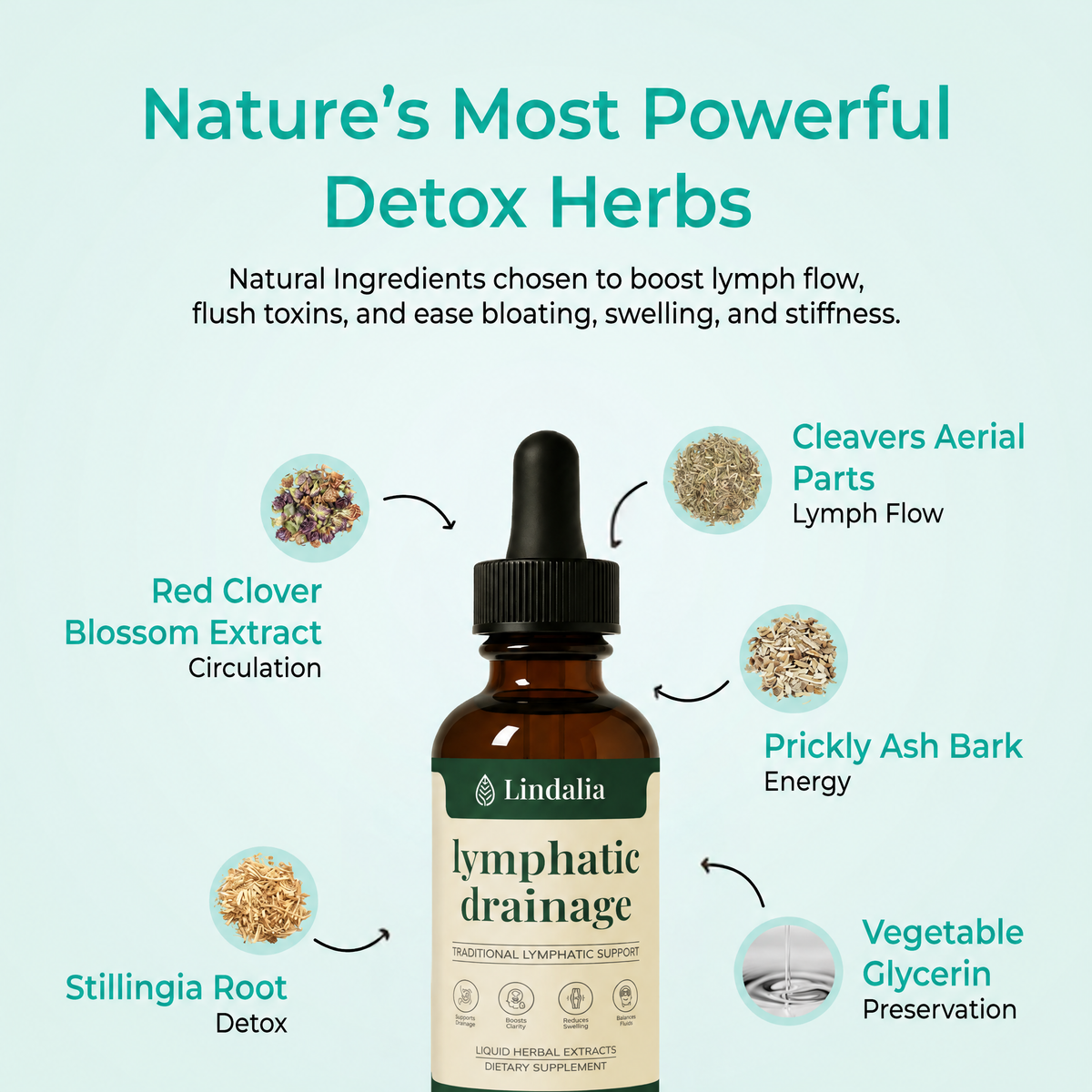 Lindalia Lymphatic Drainage Drops